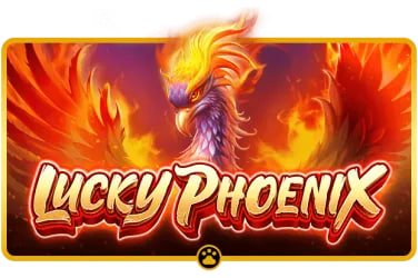 cm8801 sportsbook thể thao